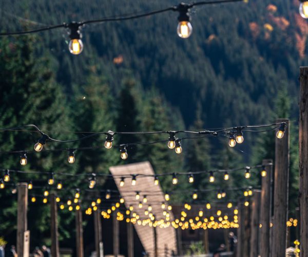 Bistro lights