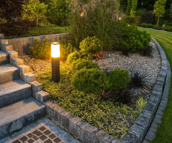 stairs and walkway with bushes and landscape lighting